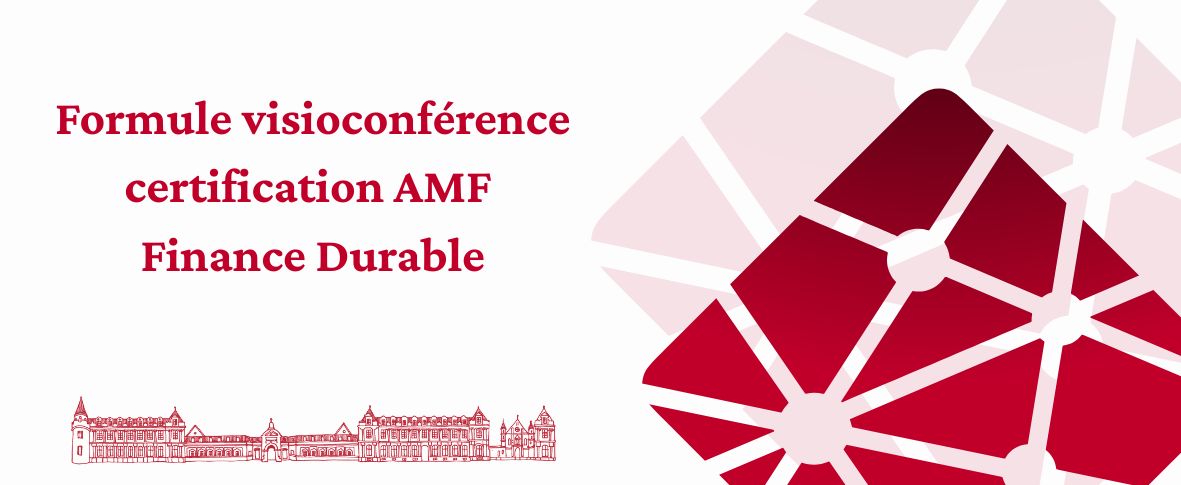 Formule visioconférence AMF Finance Durable